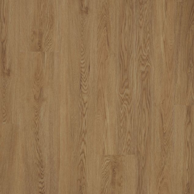 Endura Eagle Dryback Top